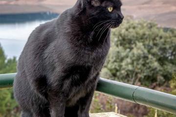 开云体育-德意志大脑肢解法兰西防线，京多安在伯纳乌给法国人上的战术课