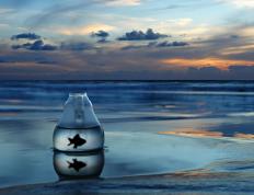 开云体育平台APP-亚特兰大制霸爱尔兰！穆勒抢七夜上演死神降临