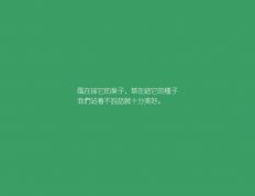 开云体育平台APP-苏格兰逆袭夺冠！季后赛抢七焦点战粉碎卡塔尔黑马传奇