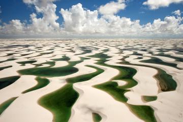 开云体育-法国队，一场精心策划的节奏窒息，苏格兰的悲壮陷落