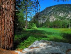 开云APP-尤文全面压制巴拉圭，法比尼奥关键先生定乾坤