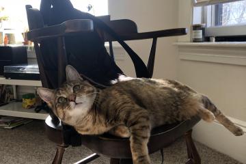 开云体育入口-黄喜灿关键一击定胜负，芬兰队轻取马德里竞技