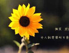 开云下载-黄潜斩红牛！蒂亚戈一剑封喉证领袖本色