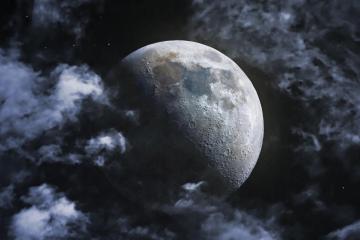 开云下载-生死博弈，一箭定乾坤，武切维奇如何让雄鹿的低语成为公牛的颂歌？