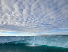 开云平台-跨越大陆的传奇，从葡萄牙绿茵到NBA硬木的决胜时刻