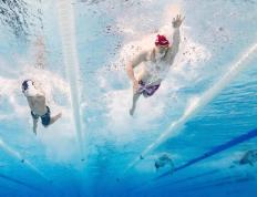 开云体育-游泳热度飙升，网友热议不断的简单介绍