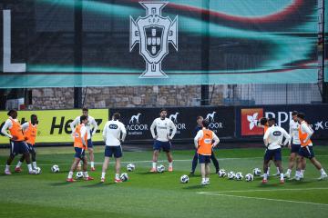 开云平台-葡萄牙队横扫瑞典队，林高远点燃赛场的简单介绍