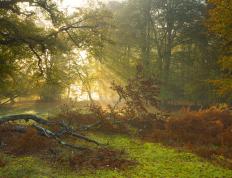 开云体育官网-火力全开，王牌点睛，卡塔尔终结哥伦比亚神话，奥利维耶一锤定音