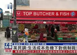 开云官网-富勒姆保级危机加剧，连战告负形势不妙的简单介绍