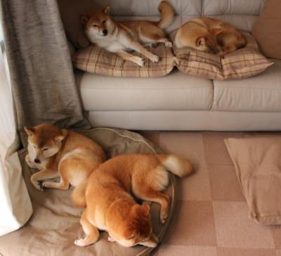 开云体育中国-利物浦再战葡超豪门,基米希一传刷新尘封纪录