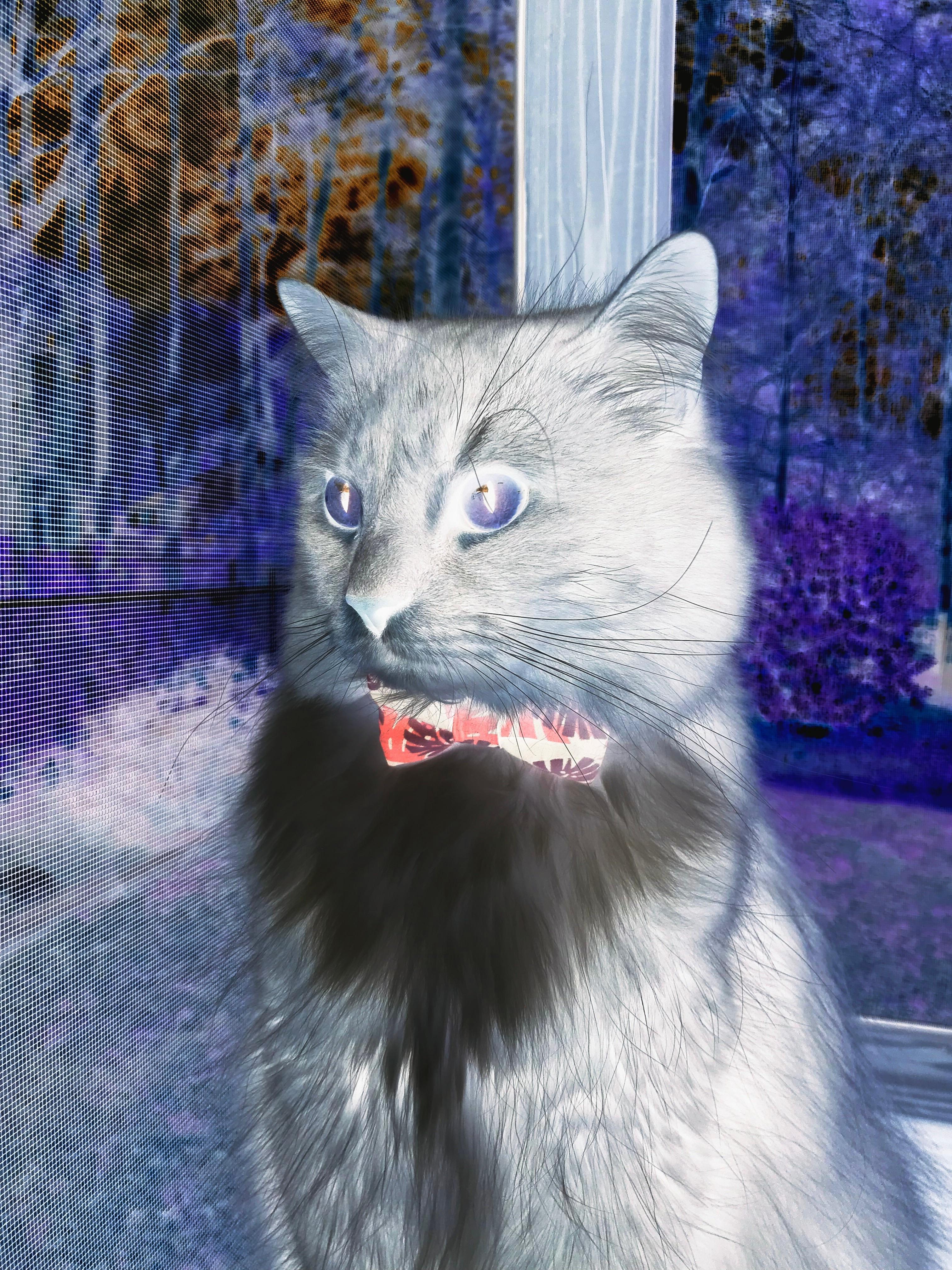 开云体育登录-欧冠淘汰赛之夜，范弗利特状态火热，点燃绿茵激情