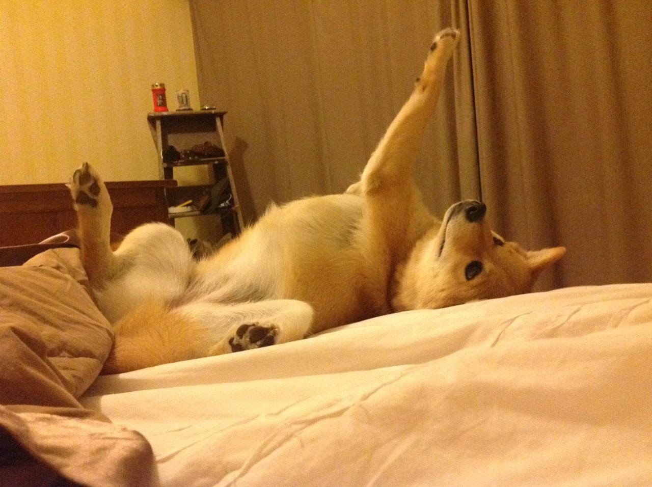 开云体育在线-恩佐天神下凡！拉齐奥鏖战乌克兰，争冠之路现曙光