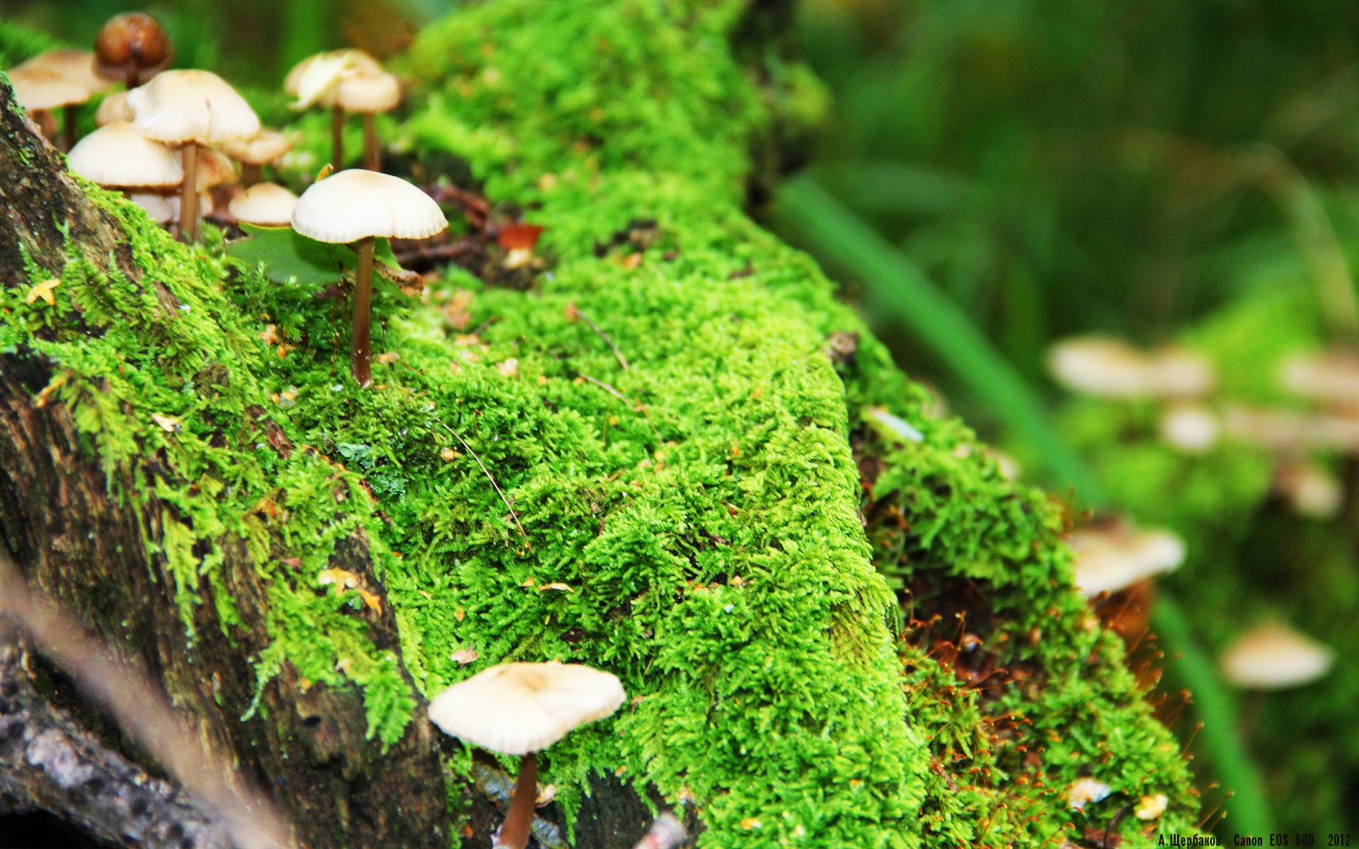 开云体育APP下载-跨界指挥官，阿什拉夫的双线奏鸣曲