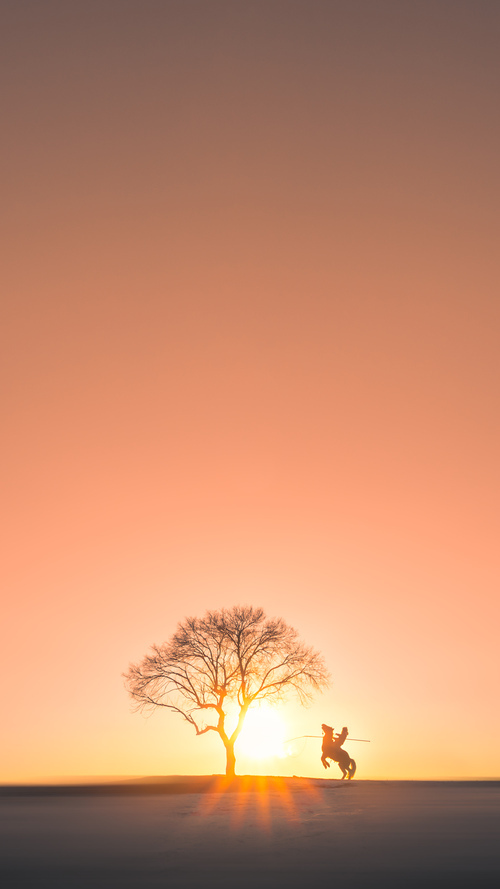 开云体育登录-爱德华兹爆发狂砍38分,76人淘汰步行者晋级东部半决赛