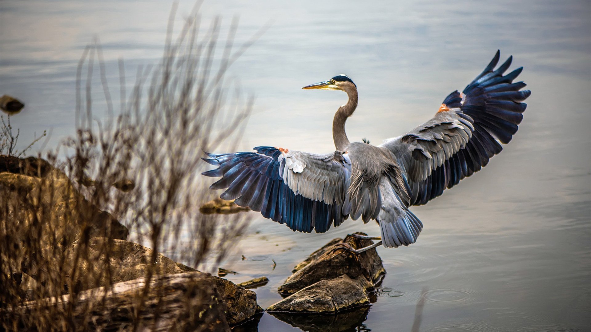 开云体育入口-老将破局!若日尼奥以一己之力击溃青春风暴,皇马硬仗启示录