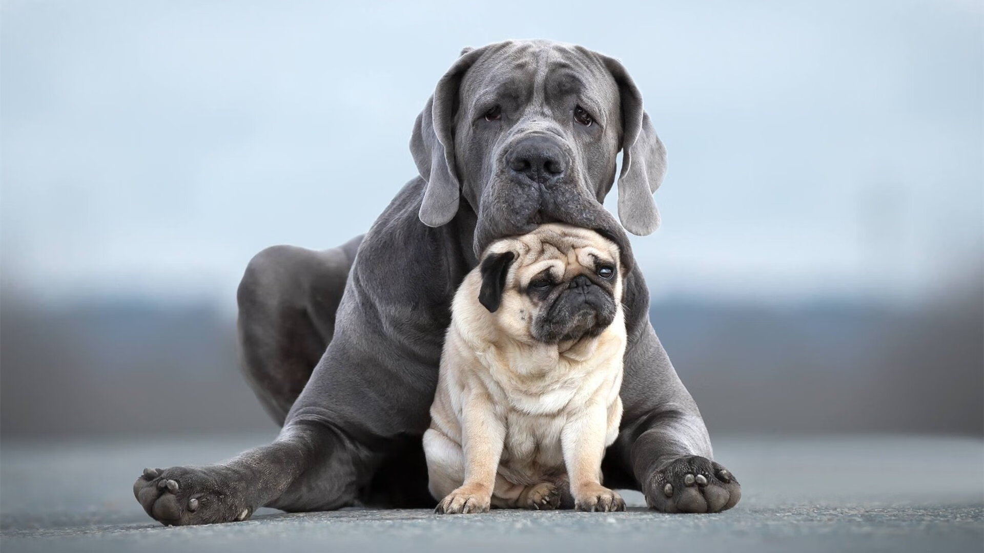 开云体育APP下载-维尼修斯点燃桑巴风暴,丹麦童话续写突围传奇