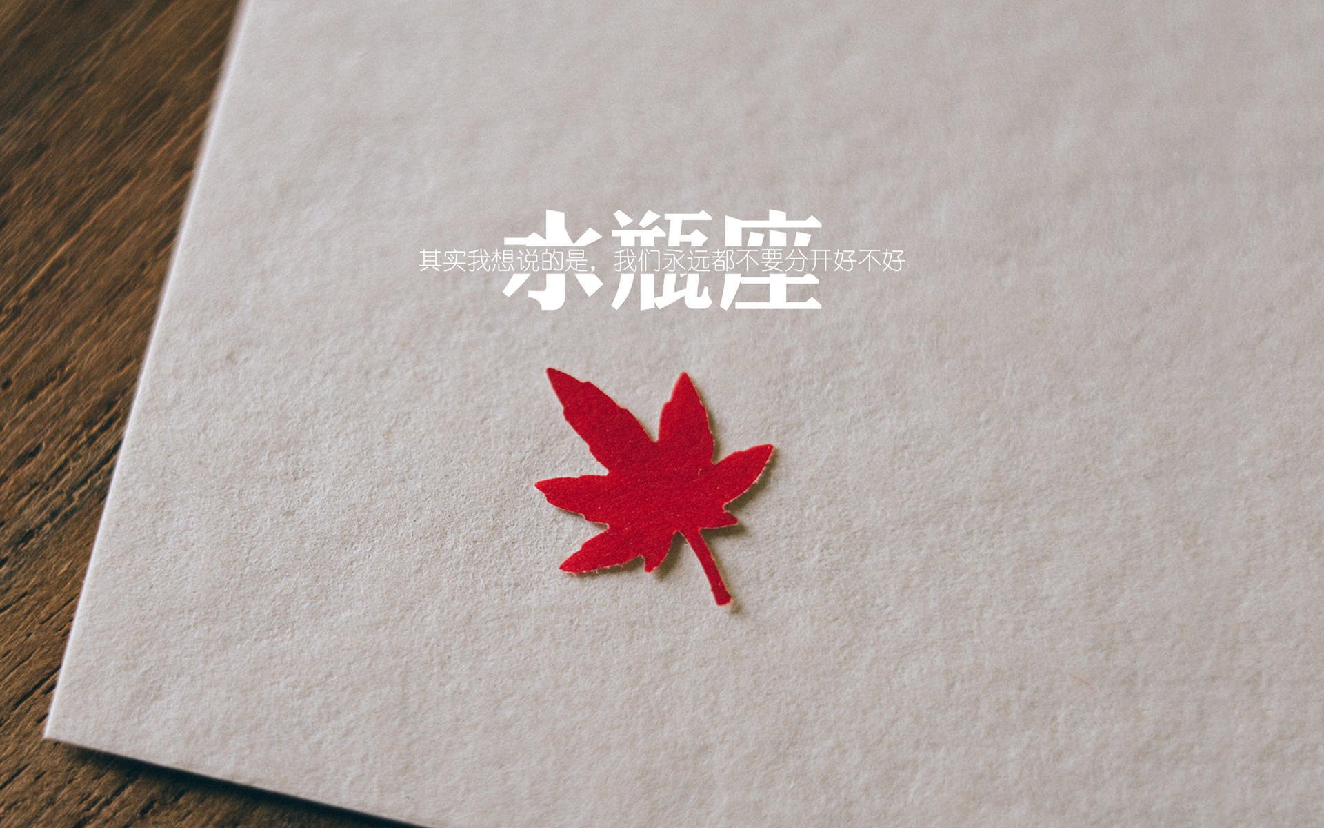 开云官网-孙兴慜绝杀闪耀,一己之力带领韩国擒下加拿大