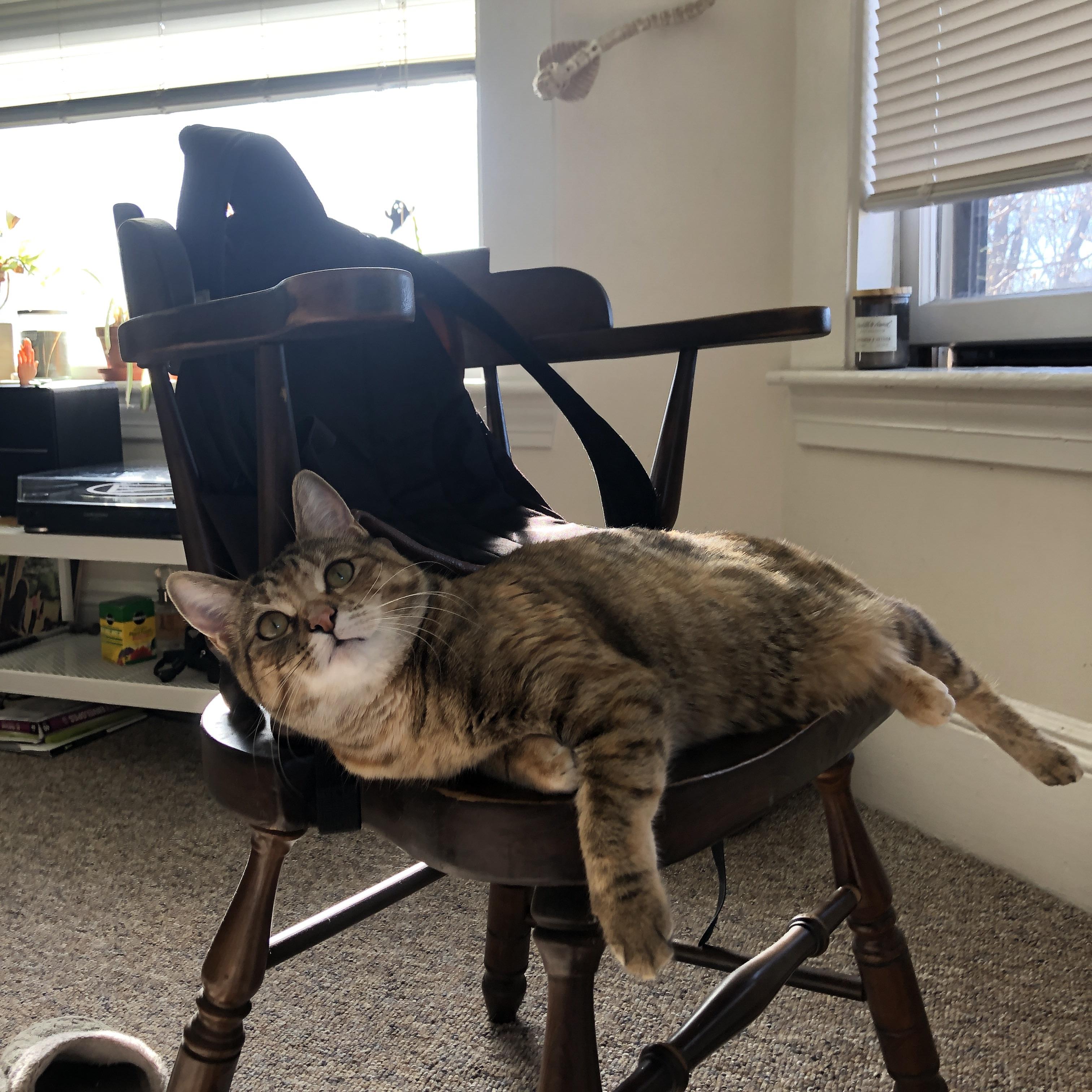 开云体育入口-黄喜灿关键一击定胜负，芬兰队轻取马德里竞技