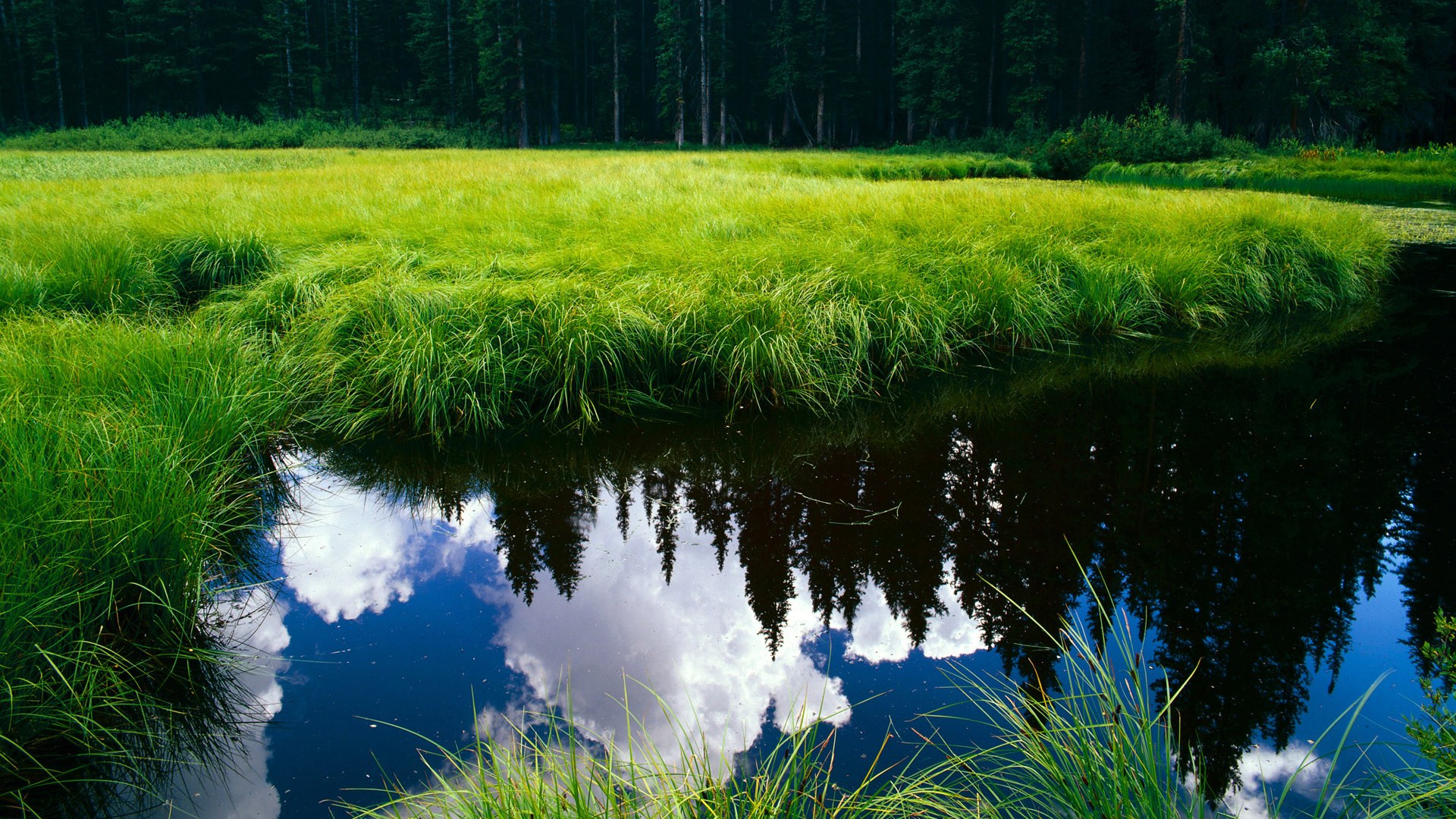 开云体育APP下载-三狮陨落，铁骑东来，2026世界杯首战，奥地利如何冲垮哥斯达黎加？