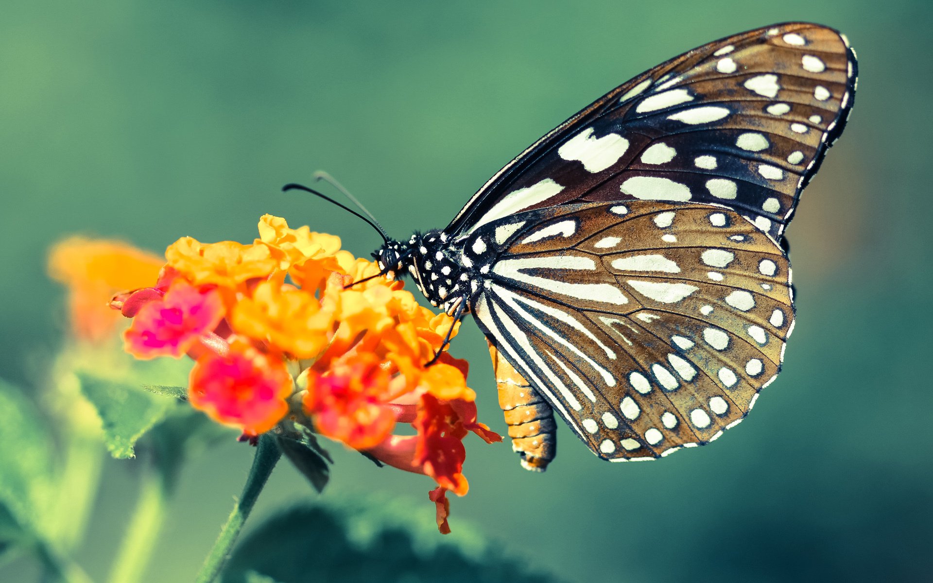 开云体育app-李刚仁教科书表现闪耀足坛,奥地利马赛爆冷缔造奇迹