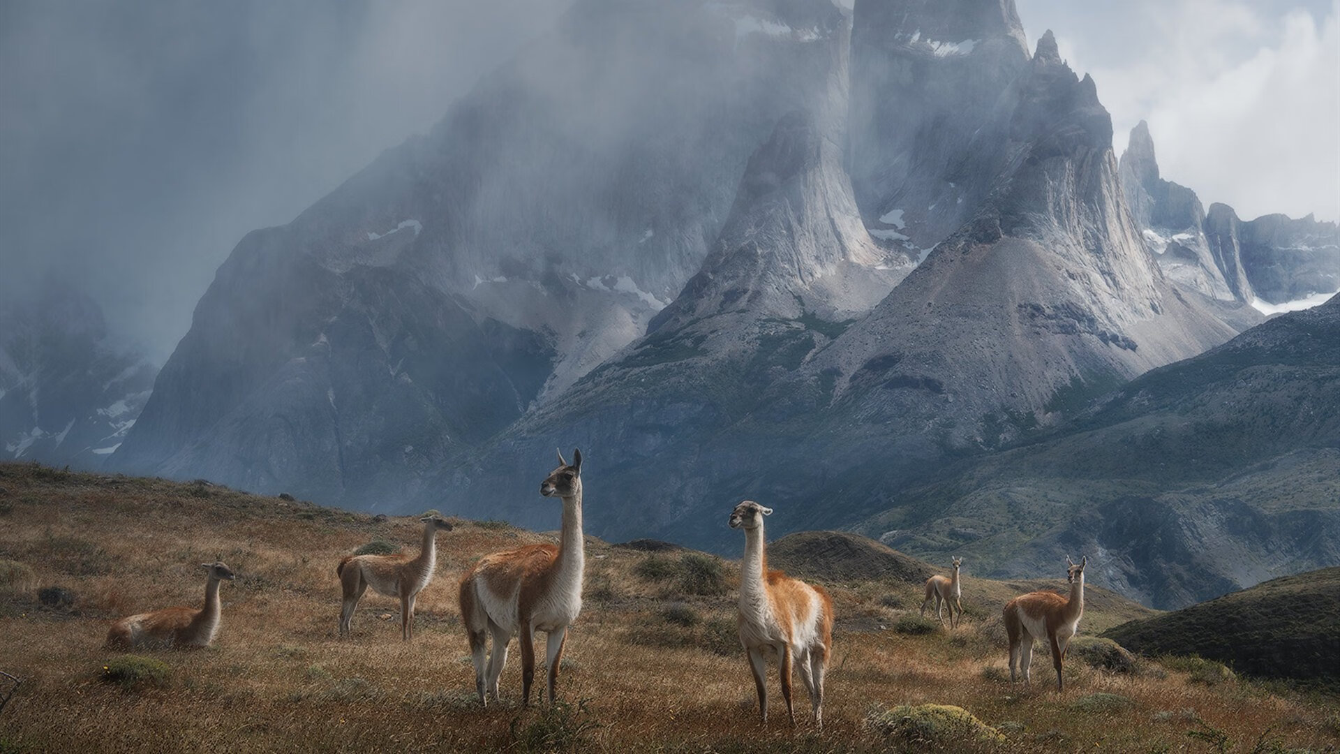开云体育在线-奥运练兵场，独行侠横扫骑士背后的杰伦·格林关键战接管
